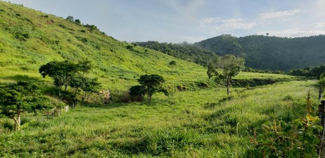 Fazenda 96,8 hectares - São Jose Safira, região de Governador Valadares/MG - Foto 5