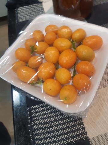 Quincã