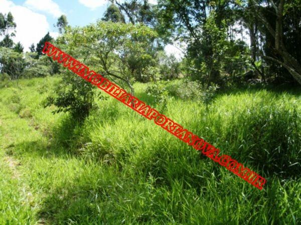 Terreno à venda em Potuvera, Itapecerica da serra cod:4510 - Foto 4