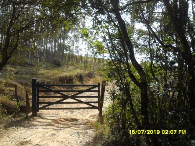 114C/Bela fazendinha de 25 ha com muita água, ótima localização e boa estrutura de sede - Foto 5