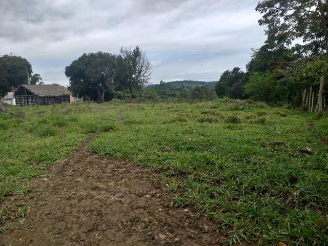 Vendo sitio em Apuarema ba - Foto 3