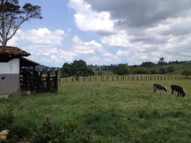 OPORTUNIDADE FAZENDA 116 TAREFAS - Foto 19