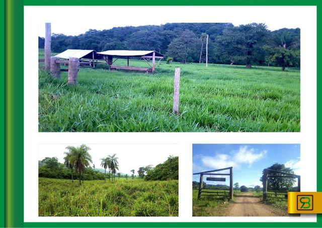 Fazenda em Cáceres - Foto 3