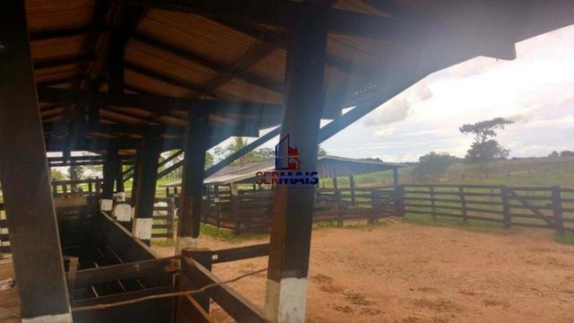 Sítio à venda, por R$ 2.775.000 - Zona Rural - Teixeirópolis/RO - Foto 11