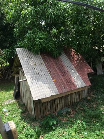 Vende-se chácara no bairro Floresta - Foto 12