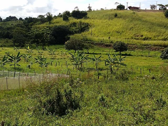 9 hectares nas Margens da BR 232 a 25 km de Recife PE - Foto 19