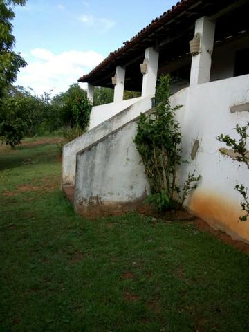 Sitio formado com toda infraestrutura, Zona Rural 65km de Recife - Foto 15