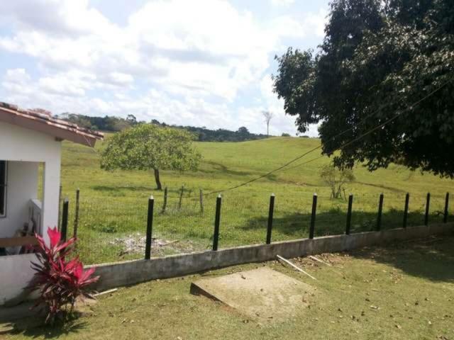 OPORTUNIDADE FAZENDA 116 TAREFAS - Foto 12