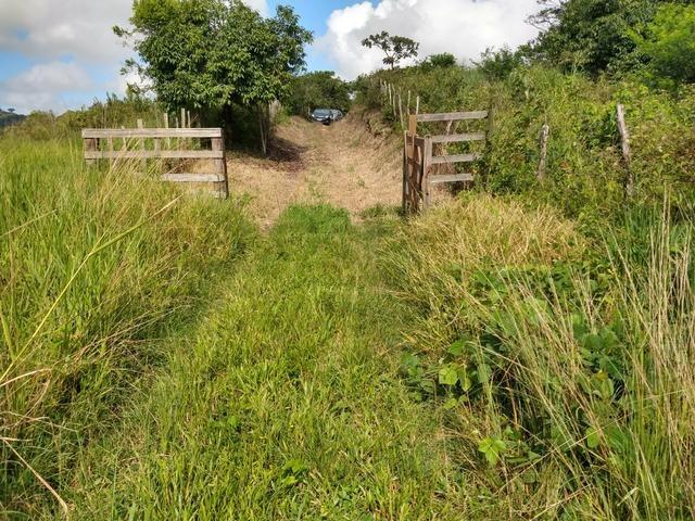 9 hectares nas Margens da BR 232 a 25 km de Recife PE - Foto 7