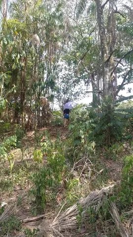 Vendo terreno na alça viária - Foto 5