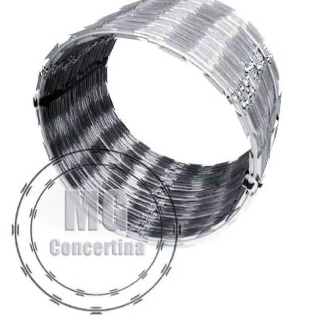Cerca Concertina