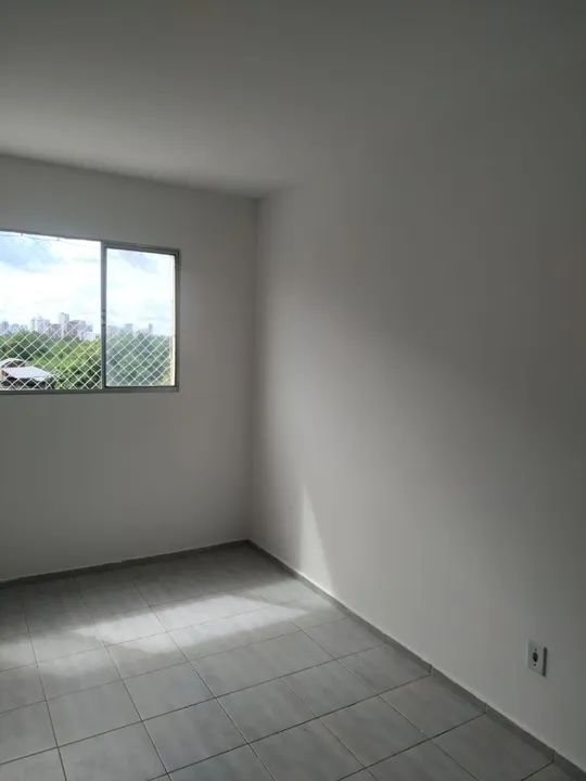Pintor disponível