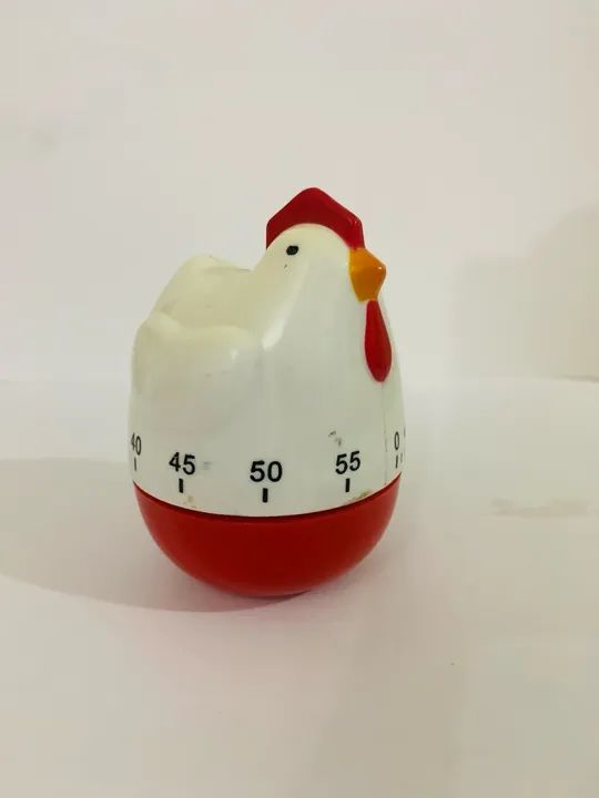 Galinha temporizadora  - Foto 2