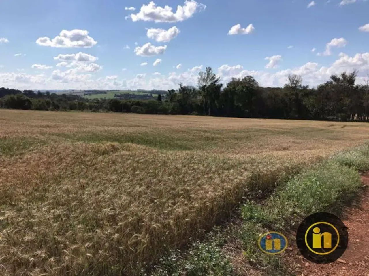 Sítio Rural à venda, Del Rey, Londrina - SI0025. - Foto 7