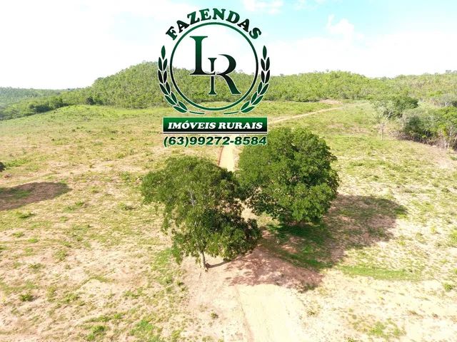 Fazenda Oportunidade 127 Alqueires Próximo a Palmas  - Foto 2