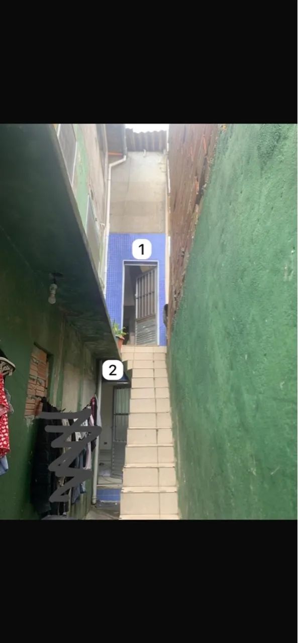 Foto - São Paulo - Fazenda da Juta