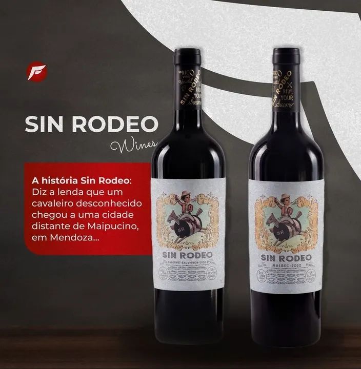 VINHOS TINTO ARGENTINOS  - Foto 4