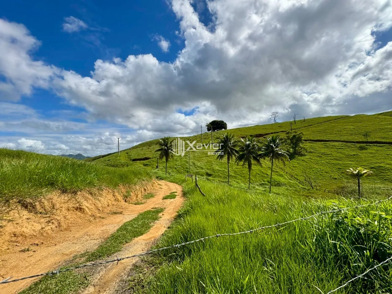 Terreno Rural com 19,3 Hectares à Venda em Anchieta/ES - Ideal para Pecuária, Agricultura