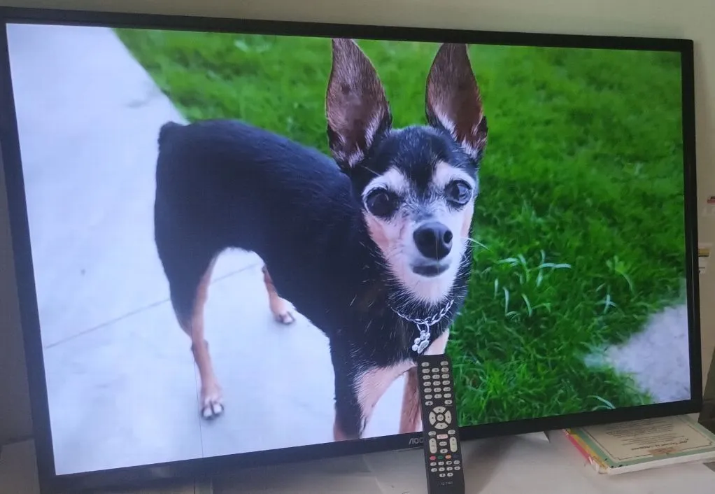 Smart 43"