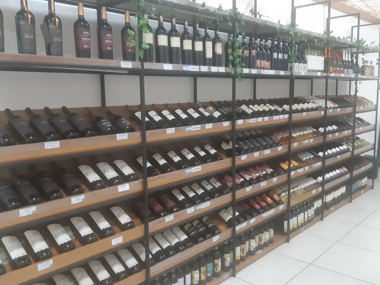 Adega Exclusiva à Venda com mais de 200 garrafas de vinhos. - Foto 5