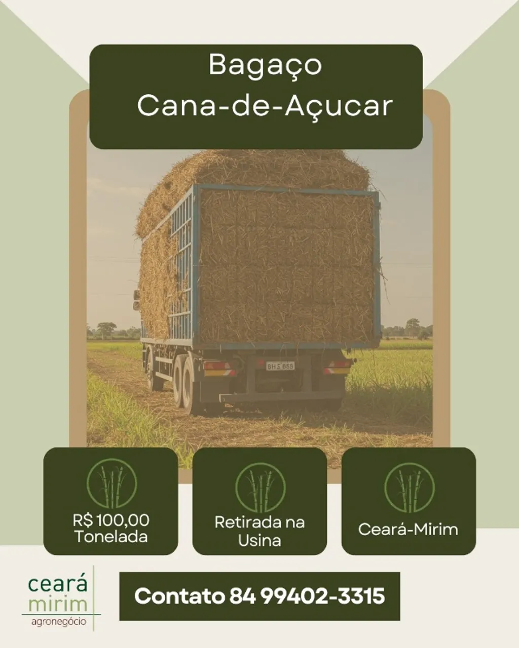 Bagaço de cana de açúcar