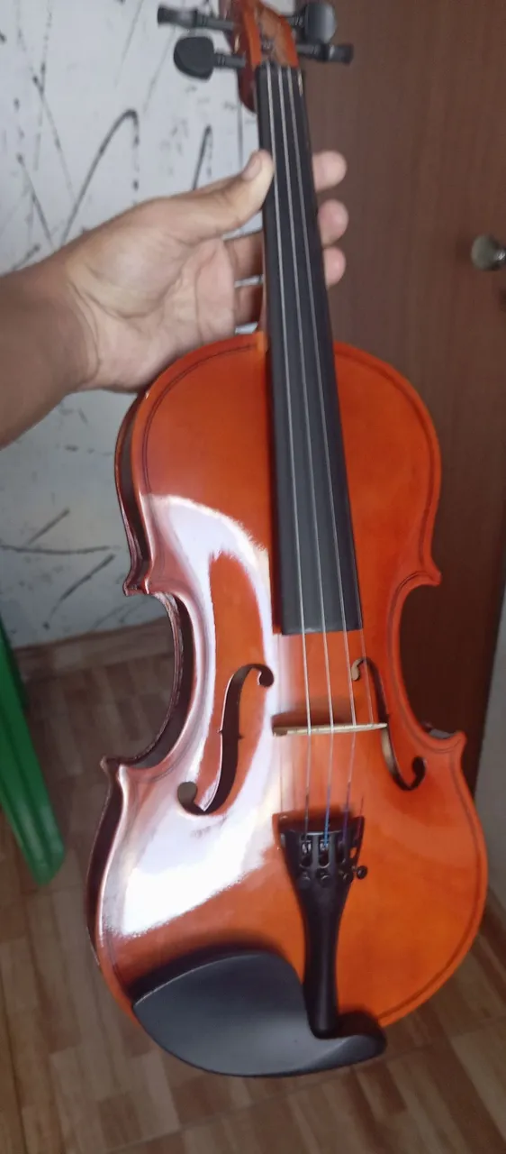 Violino Acústico Profissional - Som de Qualidade