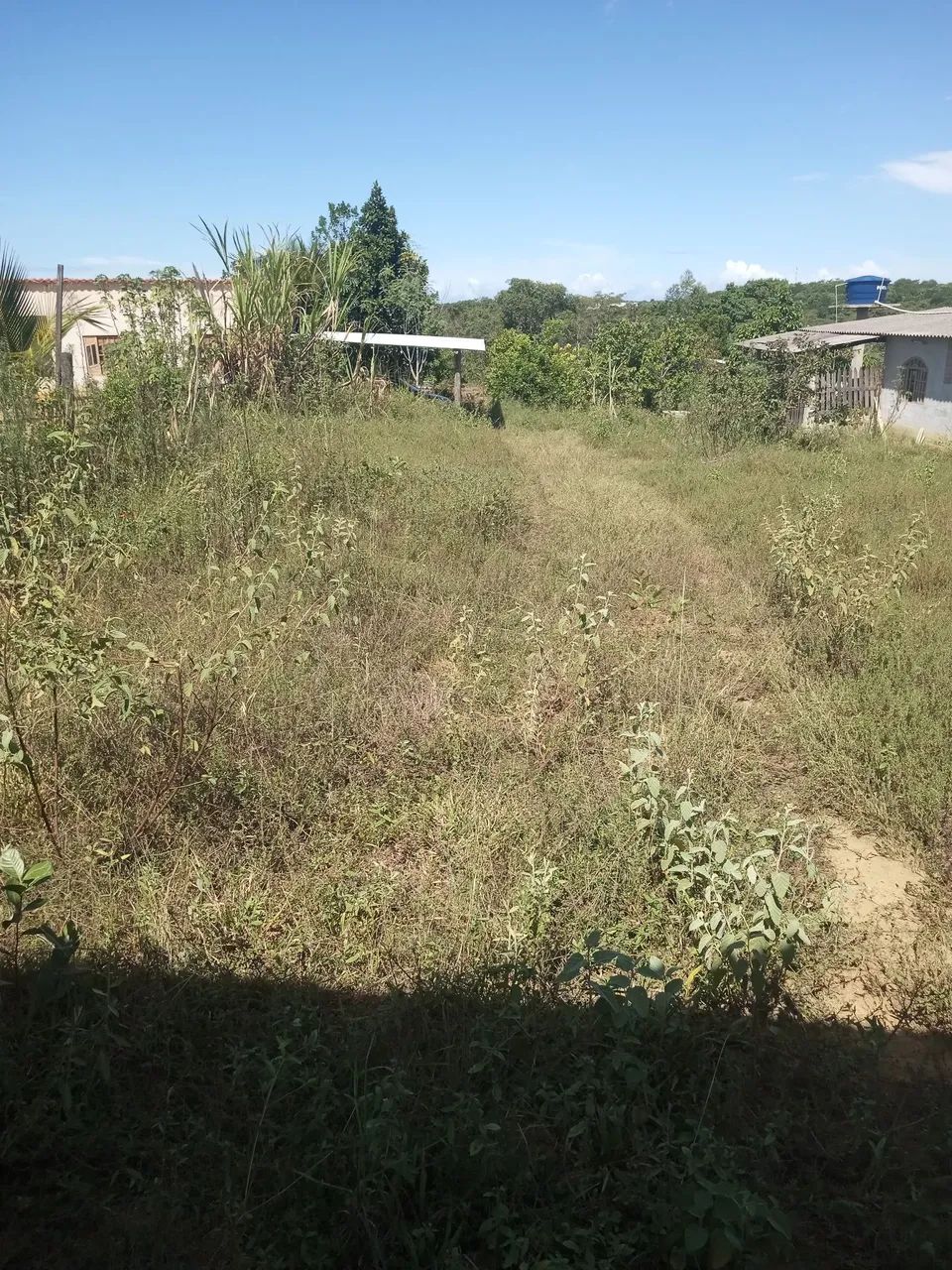 LIMPEZA DE TERRENO  - Foto 3