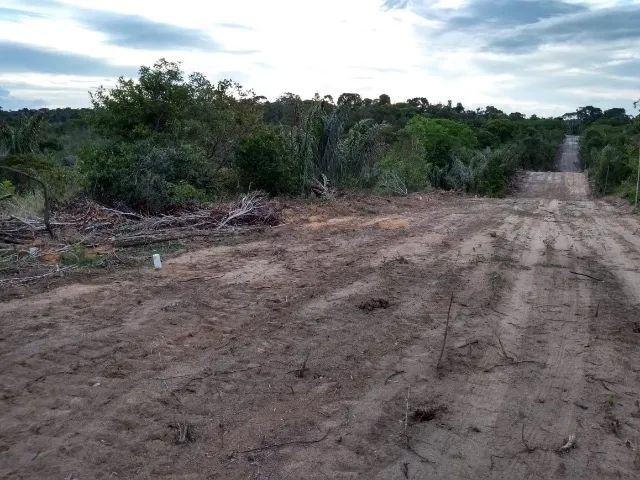 Terreno 30.000m2 - Foto 3