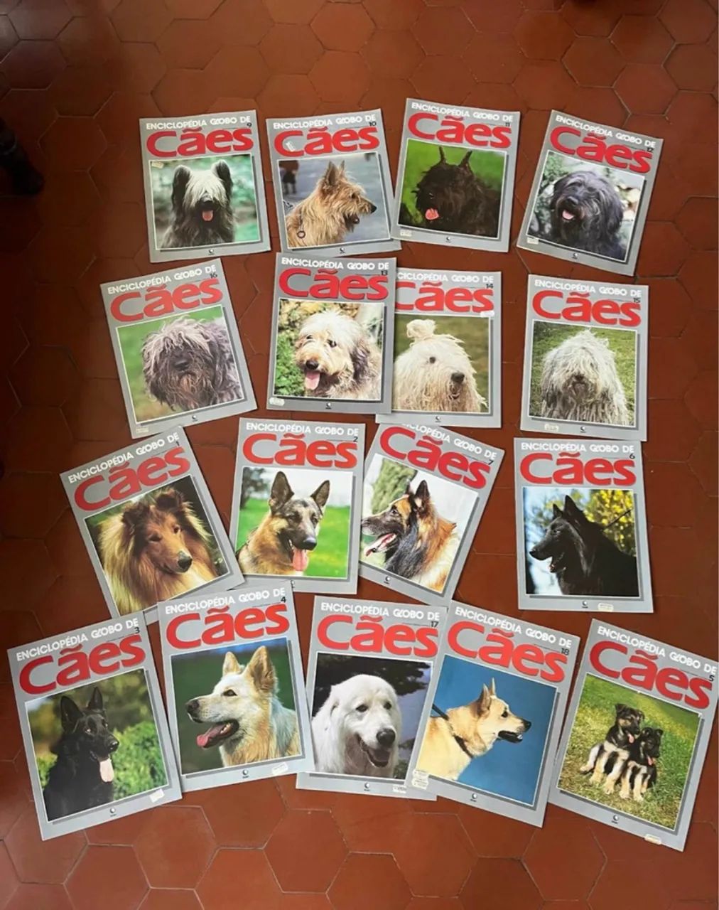 35 Capas Enciclopédia Globo De Caes - Foto 2