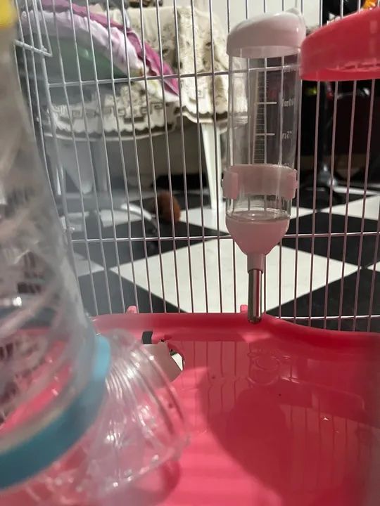 Gaiola para roedores - Foto 5