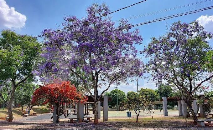 Terreno em Condomínio à venda, Royal Park - UBERLANDIA/MG - Foto 3