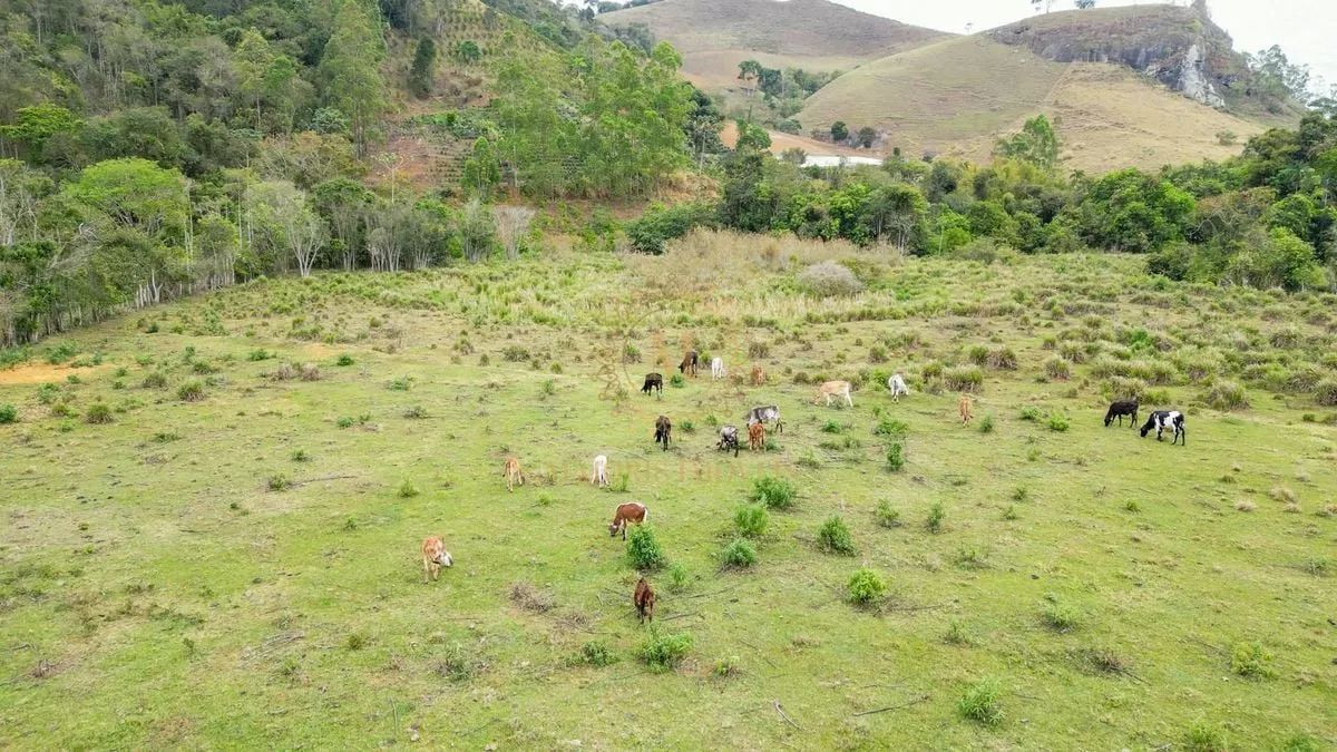 Terreno Rural Terreno Rural em Domingos Martins 1 Alqueire com Rio, Pasto e Platô ...