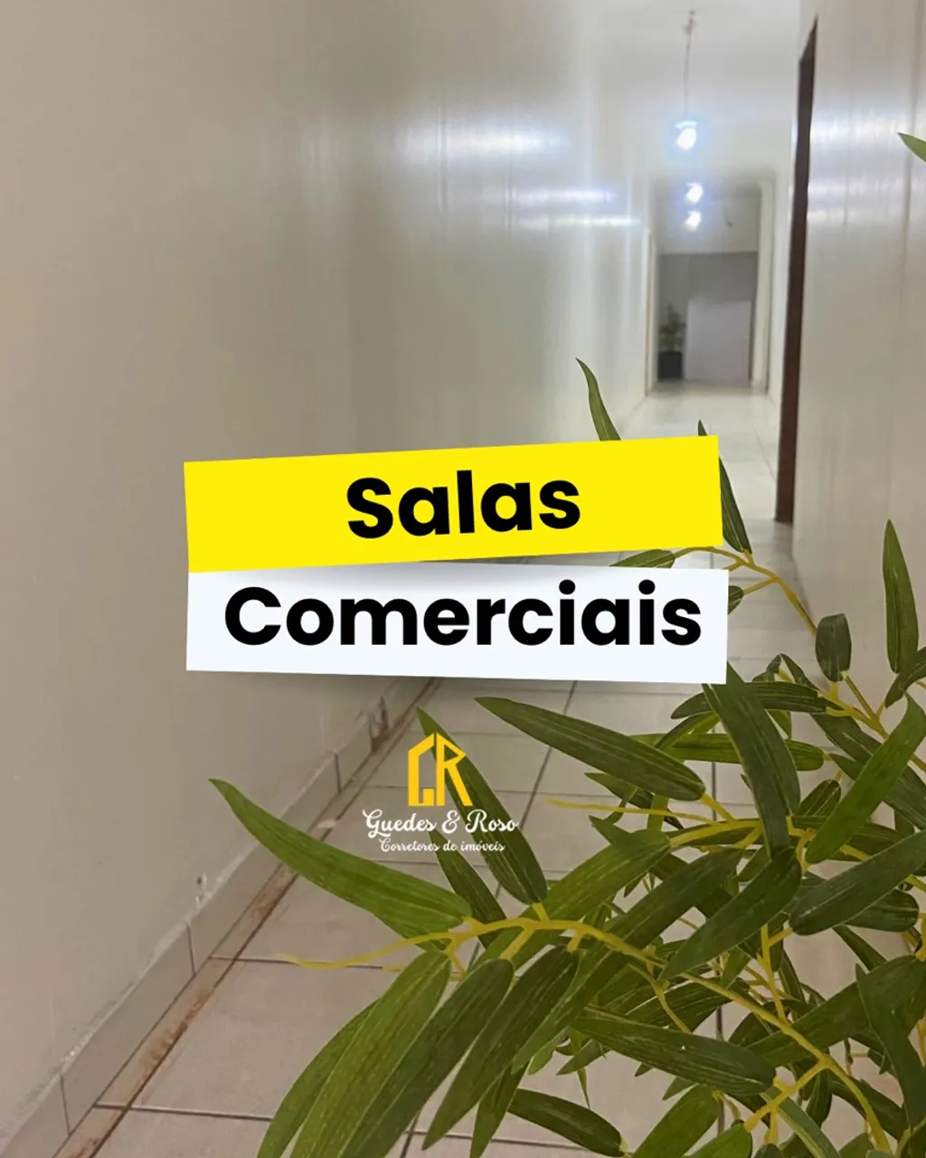 Salas comerciais na Praça 14