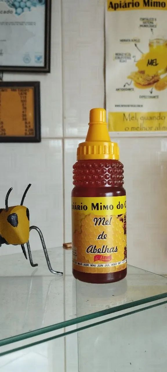 Mel de Abelhas Puro 280g - Apiário Mimo do céu 