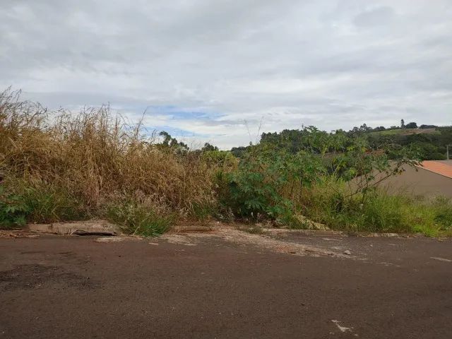 Terreno Jandaia do Sul - JD Villar II - Foto 3