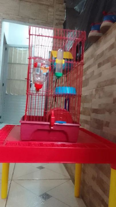 GAIOLA DE HAMSTER - Foto 2