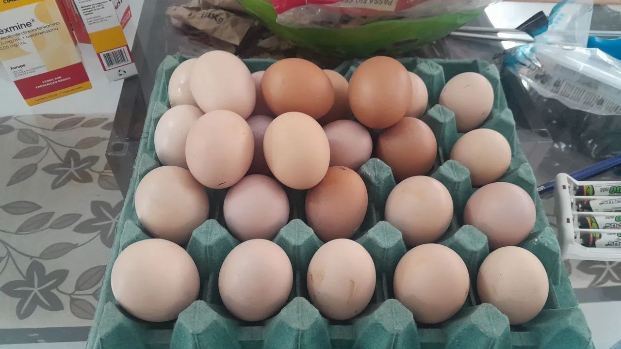 Ovos caipira melhorado.