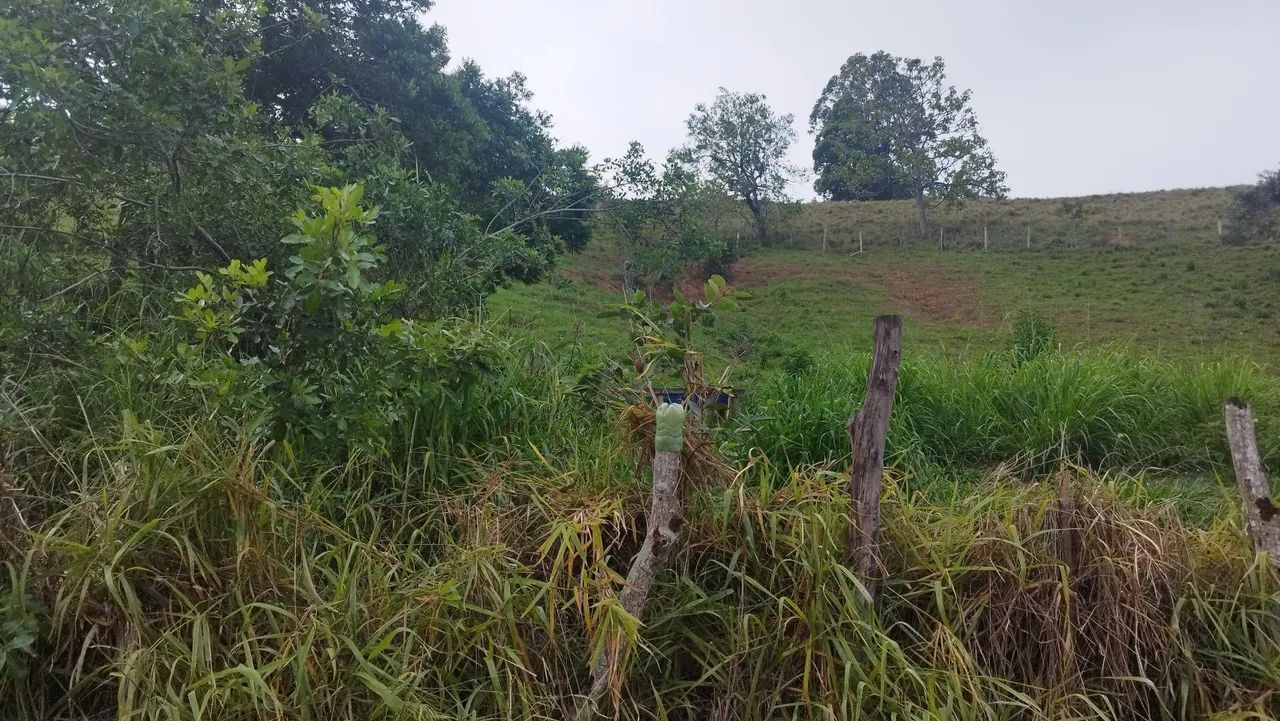 Vendo ou troco Área, sítio de 2.544 metros quadrados no distrito do Gomes - Itapemirim-ES - Foto 9