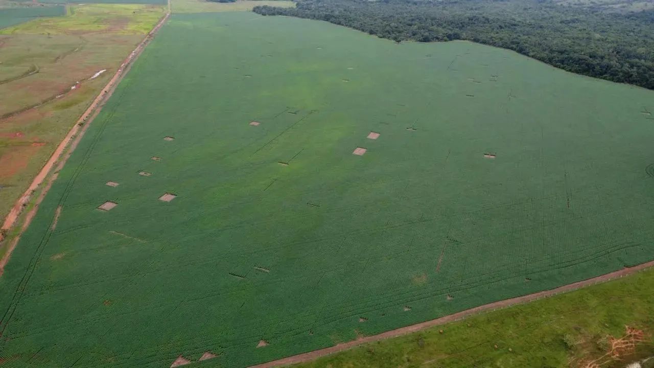 Fazenda dupla aptidão 34 alqueires,Itaberaí - Foto 3