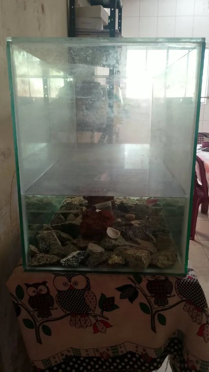 Aquário  - Foto 2