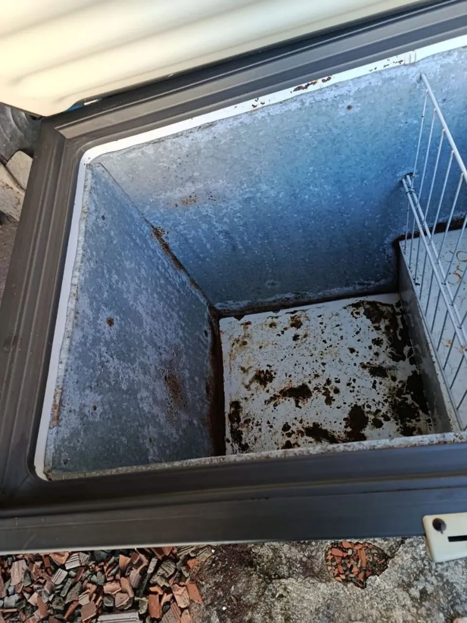 FREEZER  - Foto 4