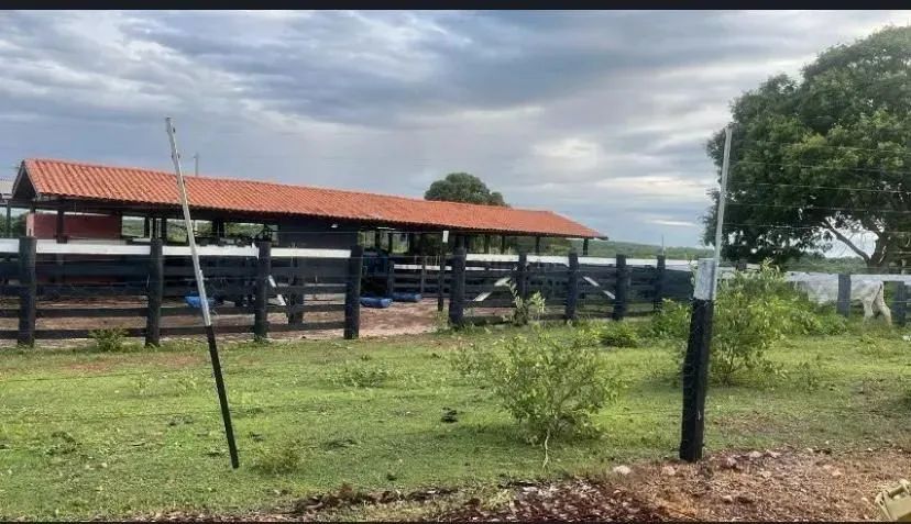 FAZENDA À VENDA  OPORTUNIDADE IMPERDÍVEL - Foto 3