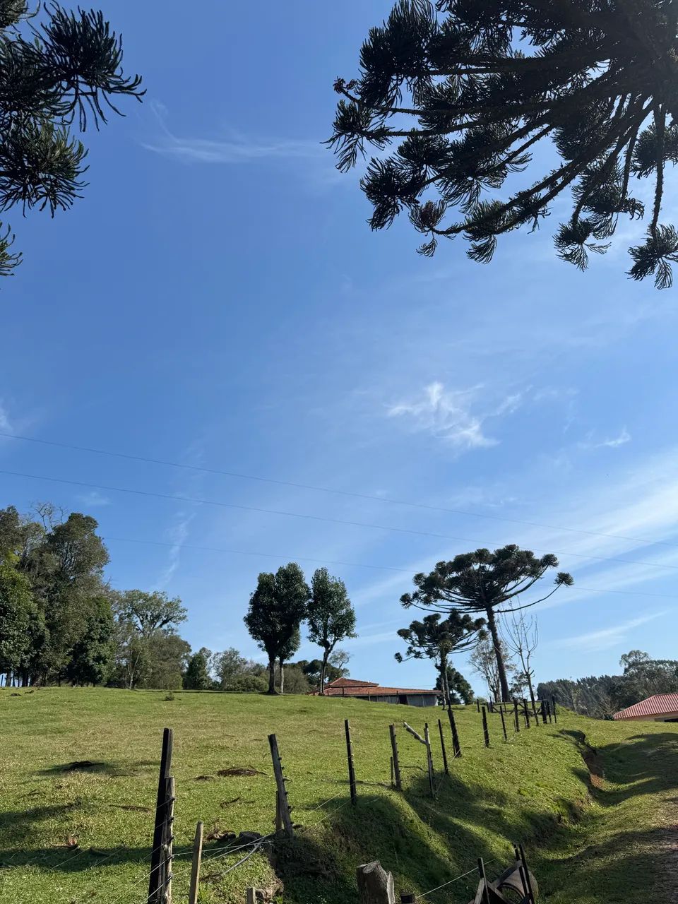 Terreno na Serra - Foto 5