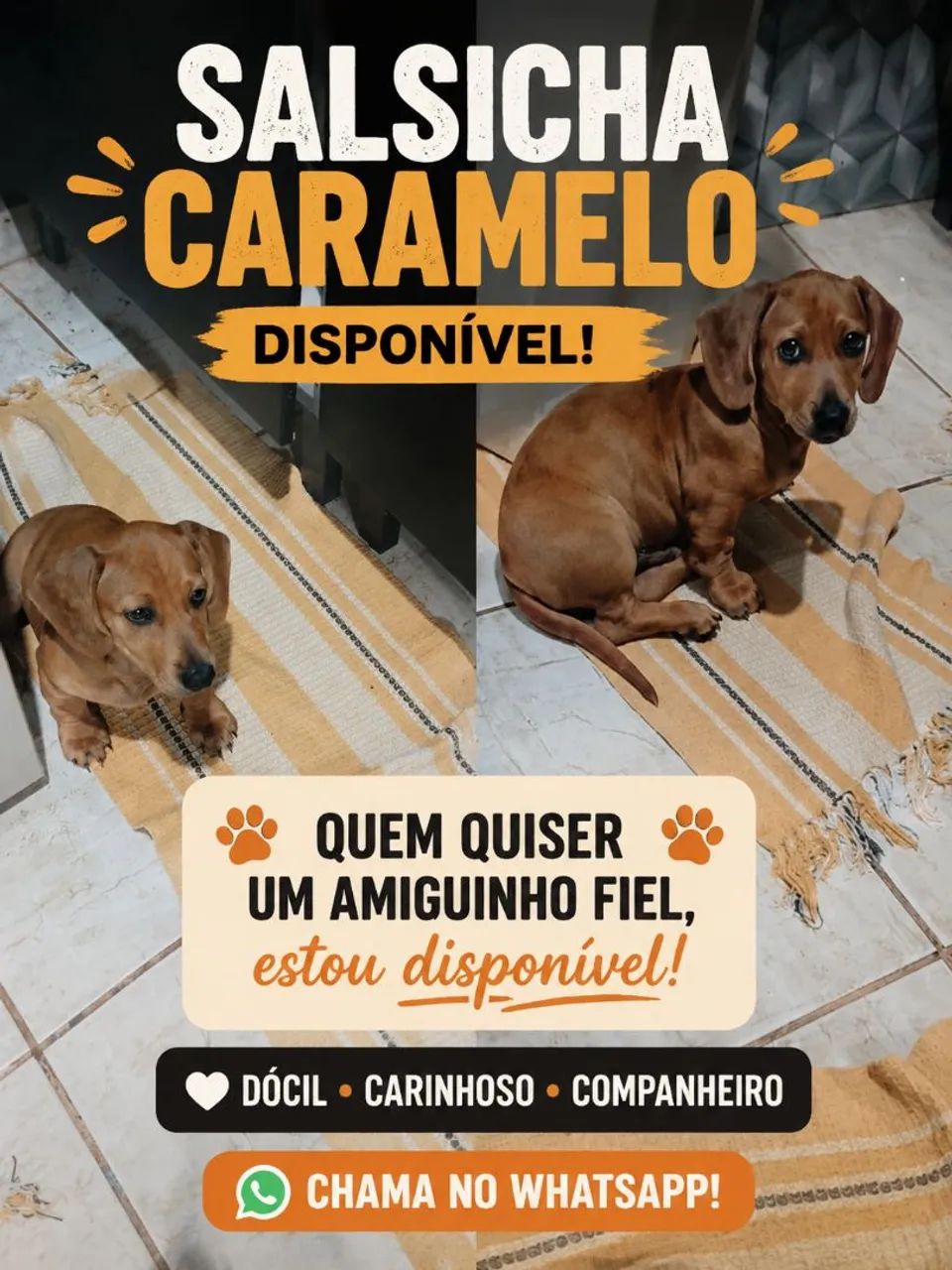 Cachorrinho cofap