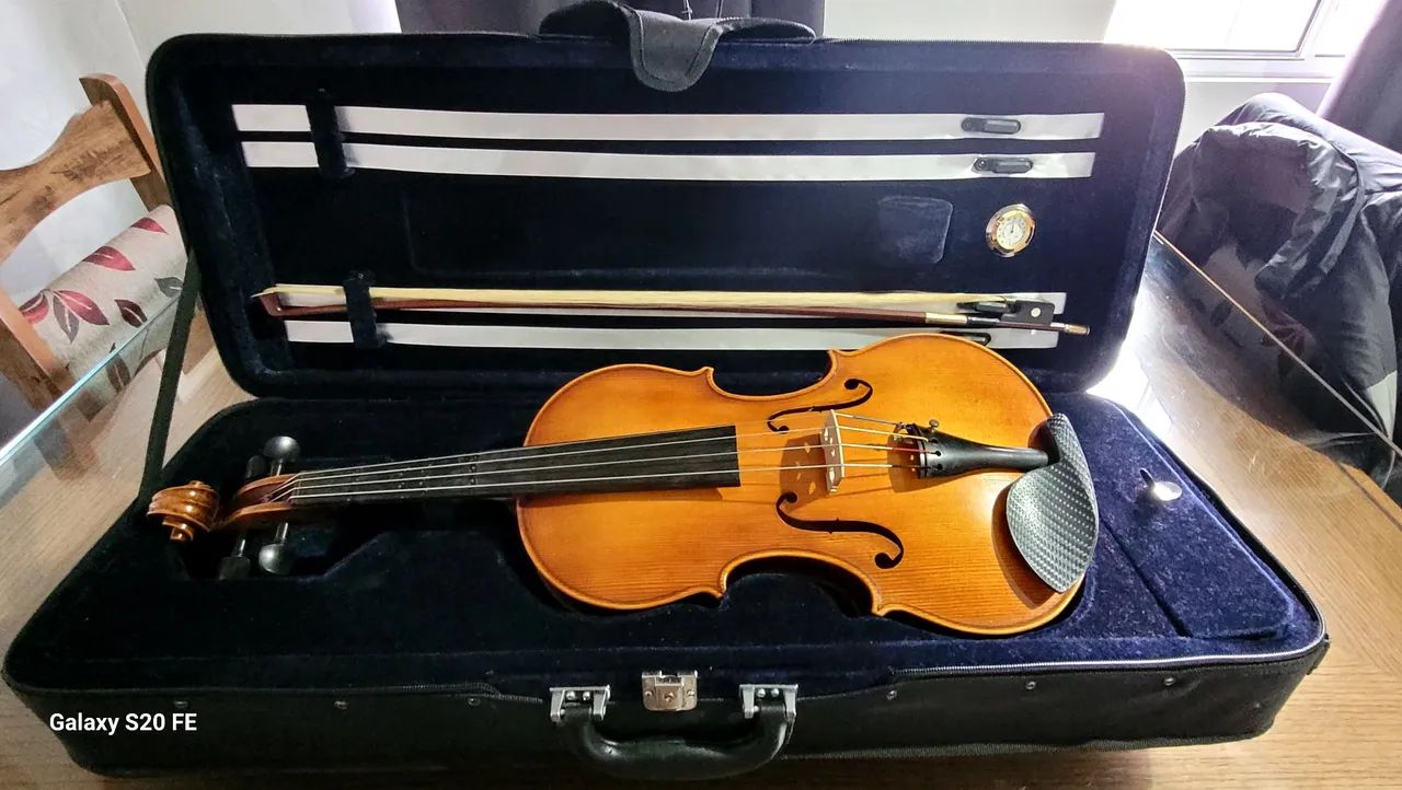 Viola classica  - Foto 4