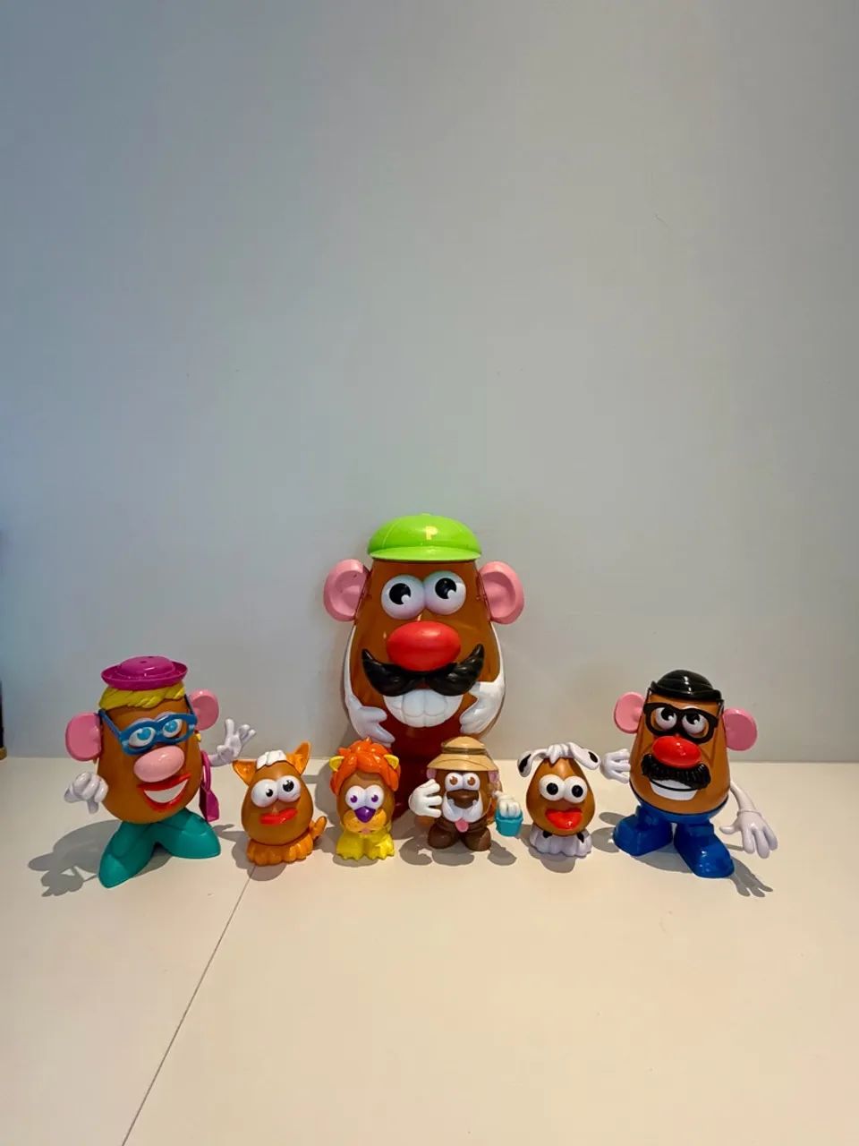 Família sr e sra cabeça de batata com pets - Foto 3