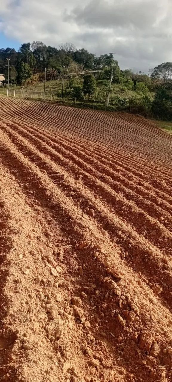Chácara venda em Quitandinha. - Foto 4