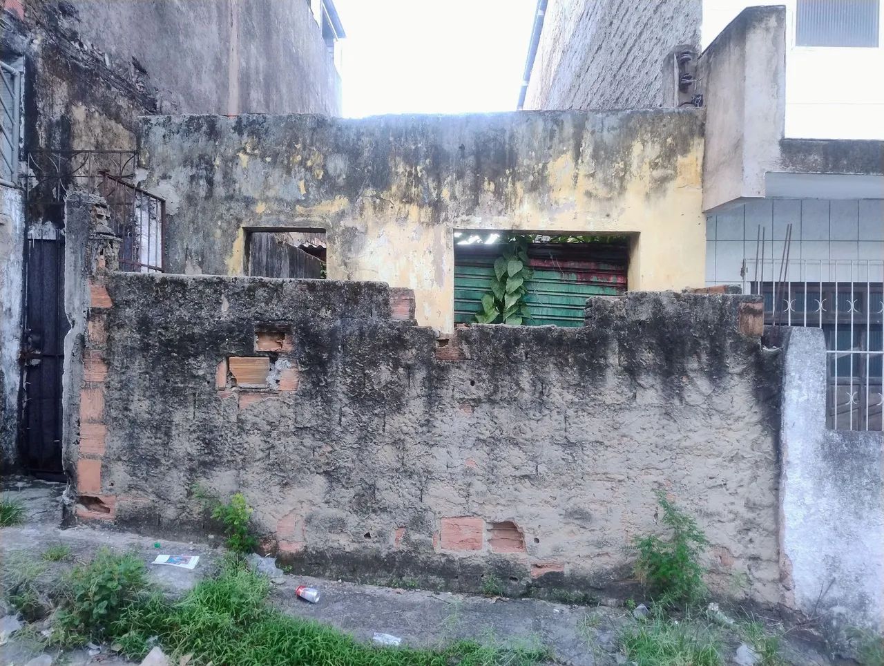 Vendo na liberdade, Curuzu 