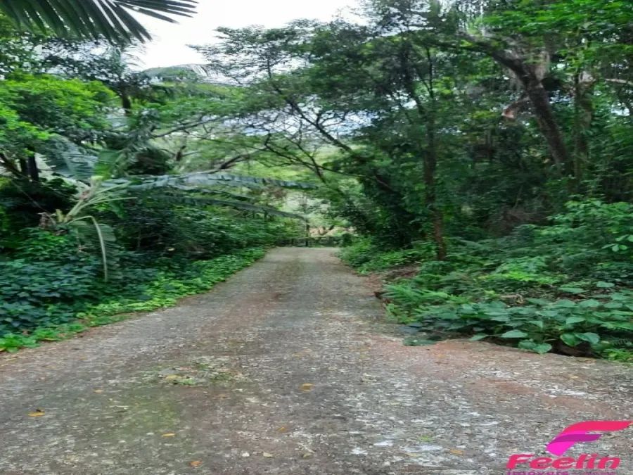 Casa Tropical em Florianopolis - Foto 4