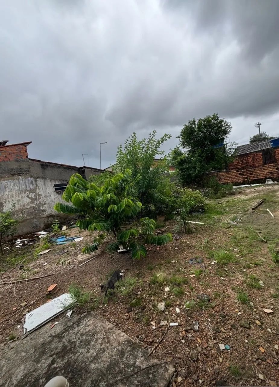 TERRENO GUAJARÁ 2.  - Foto 4